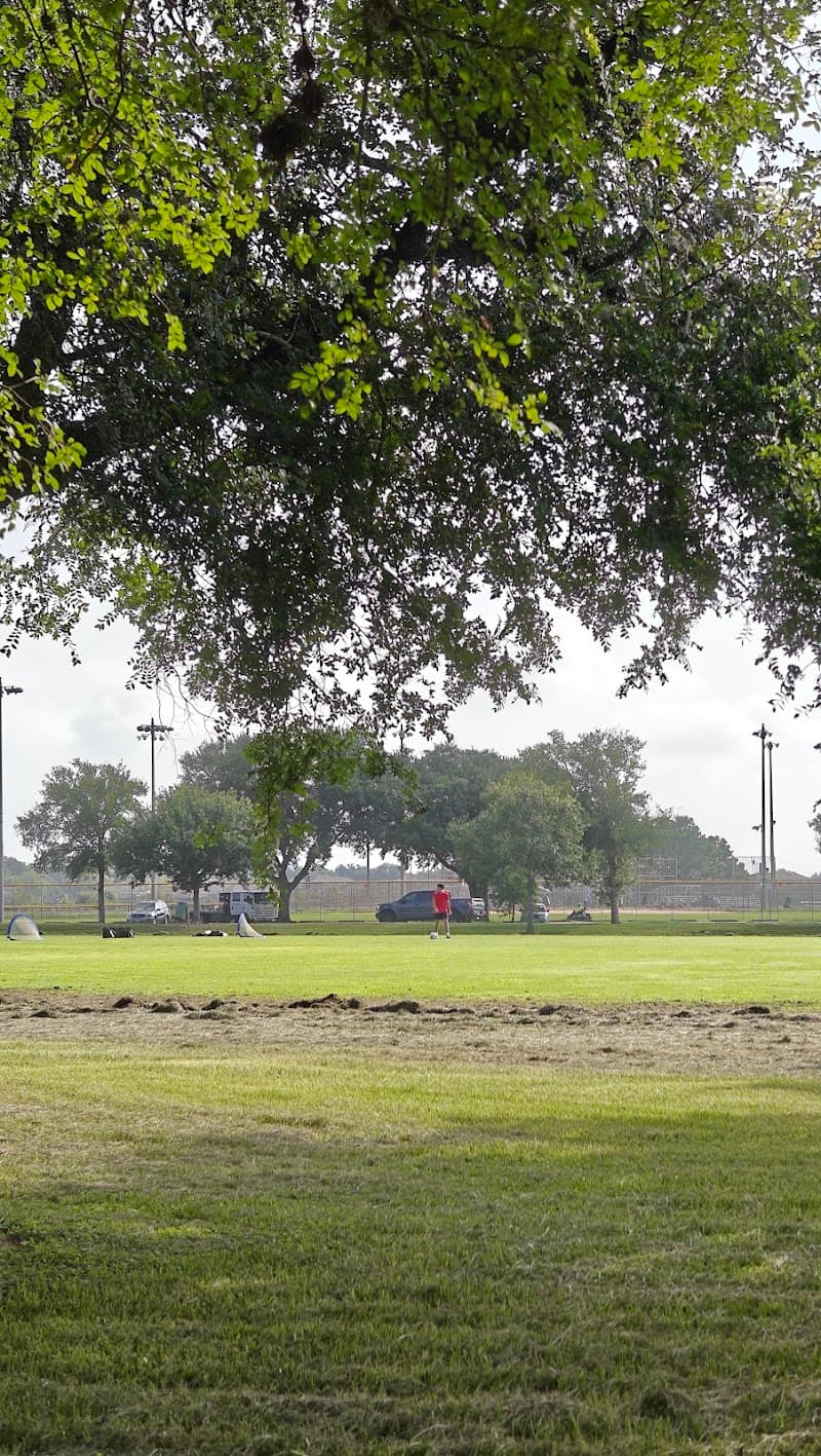 Photo by Bao (Google)