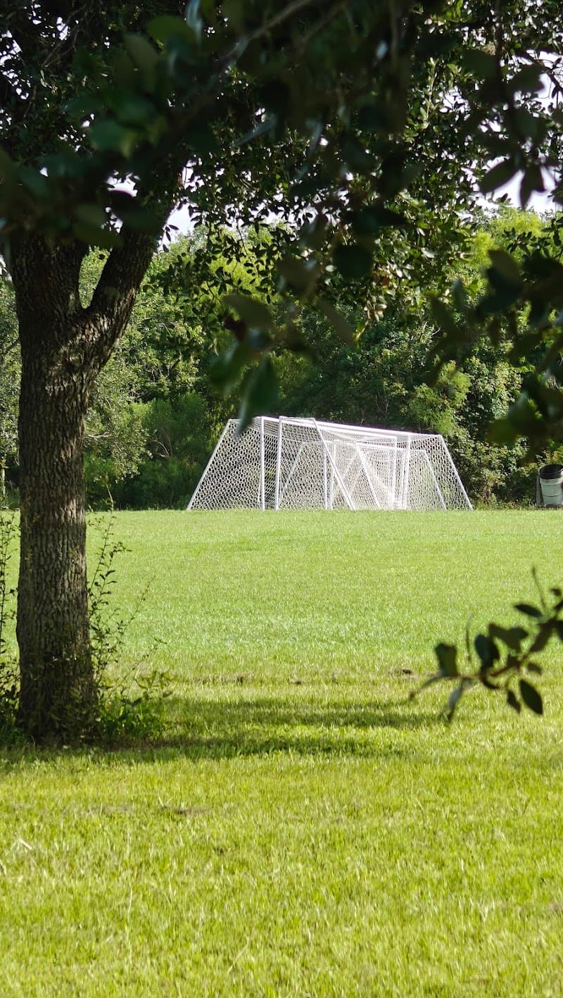 Photo by Bao (Google)