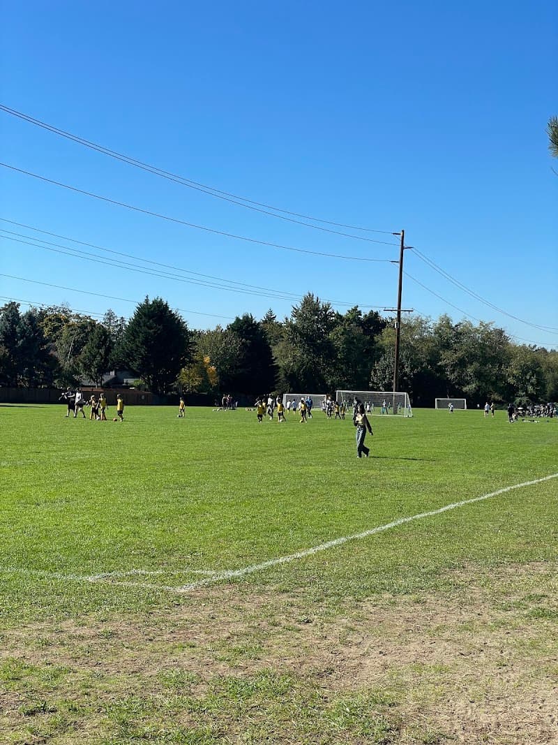 Photo by Silver C (Google)