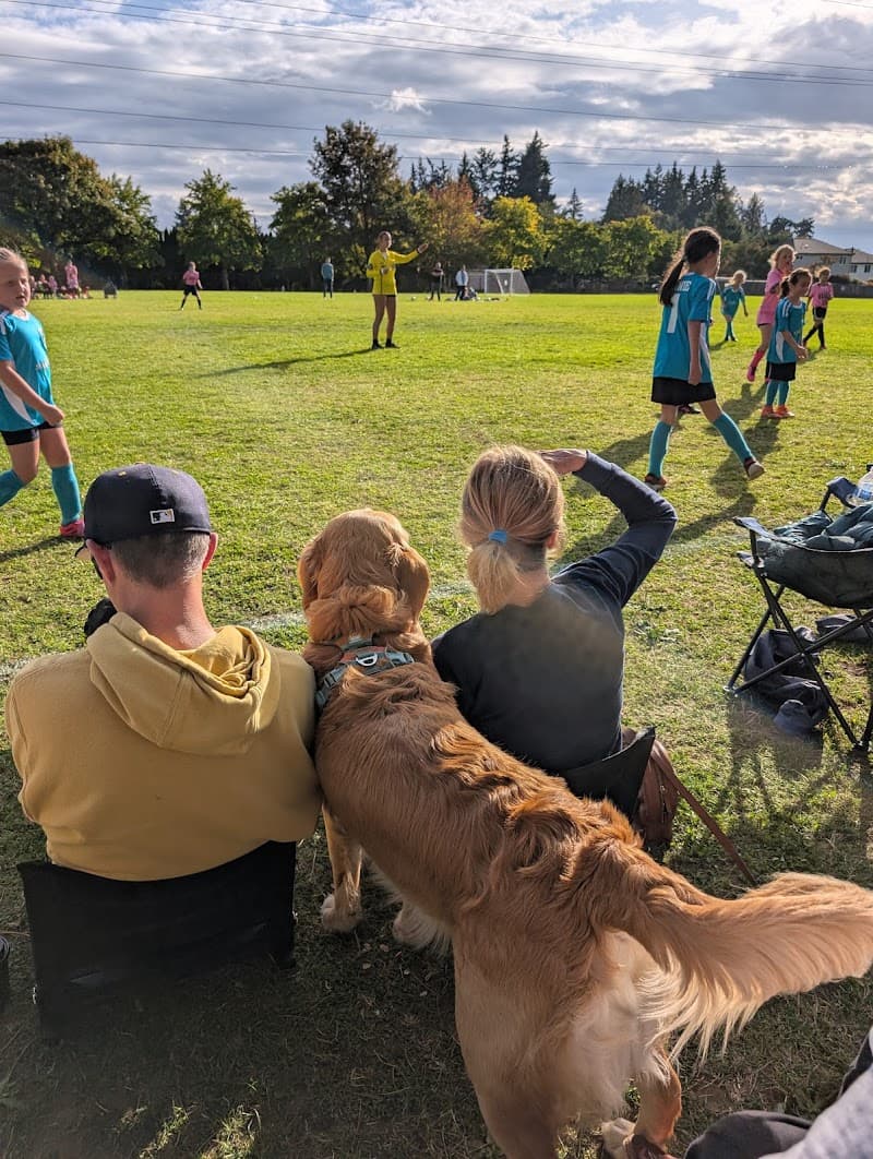 Doug Allen Sportsfields
