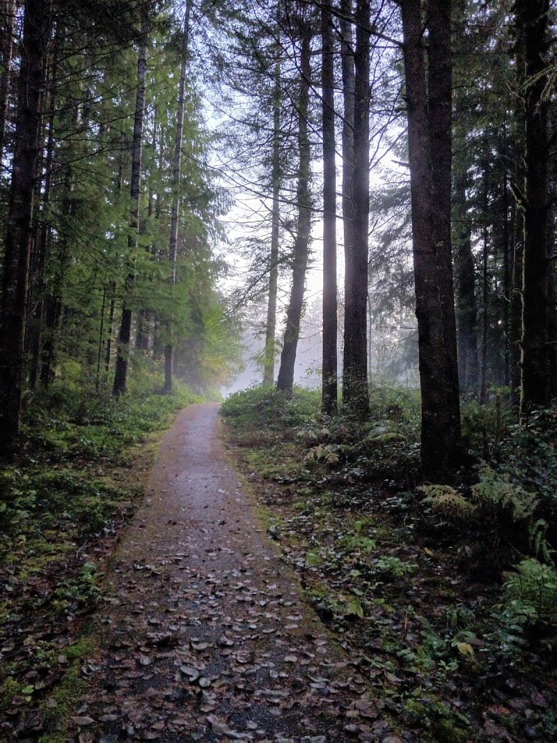 Photo by Paul Werda (Google)