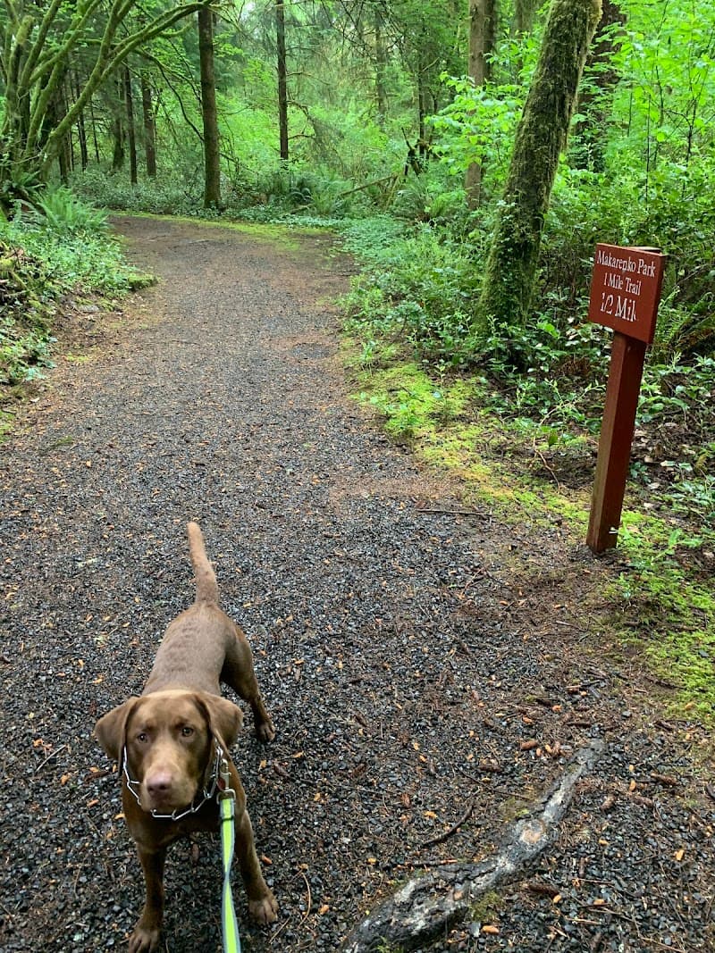 Photo by Mountainside Getaway (Google)