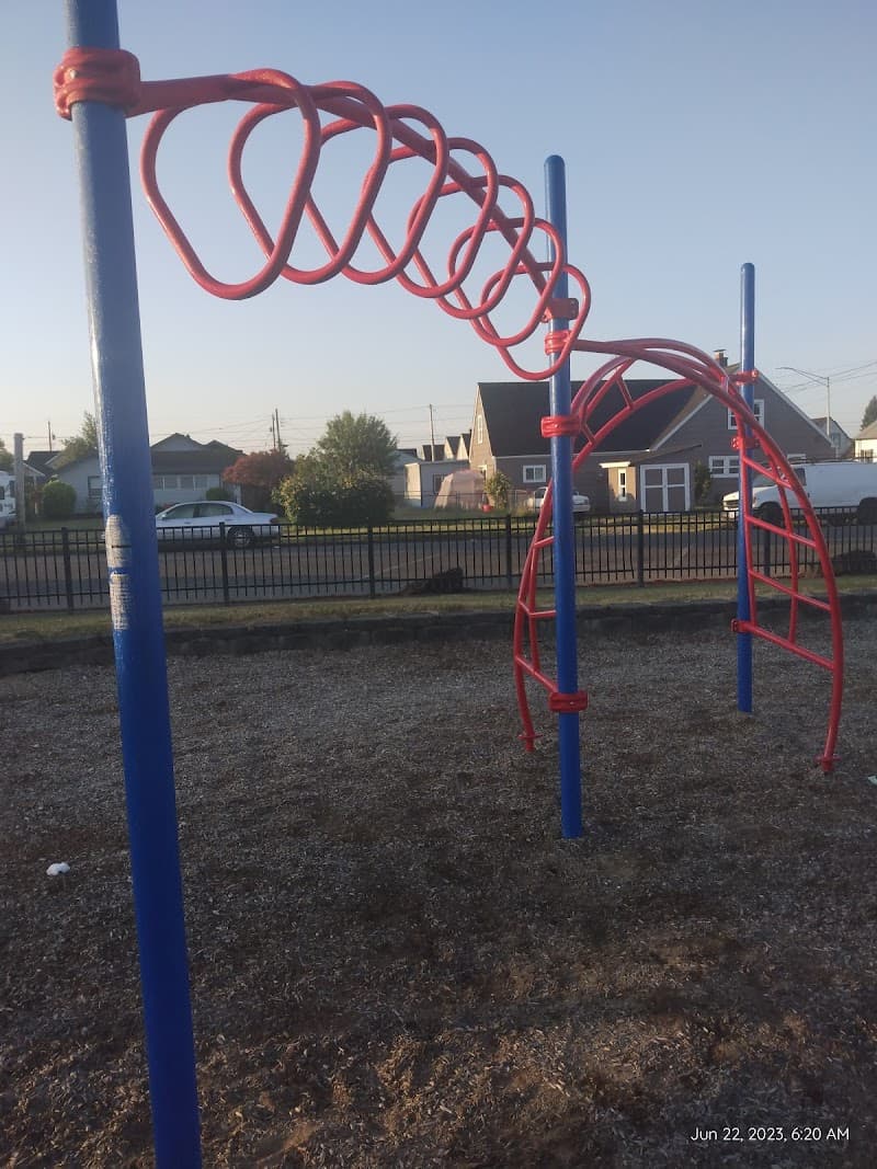 Photo by Cassandra Steege (Google)