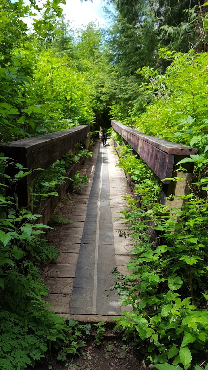 Photo by Ashlee Mitchell (Google)