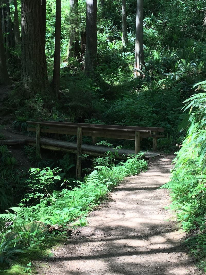 Photo by Tashina Calton (Google)