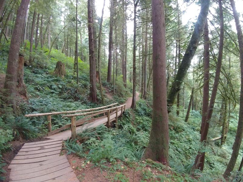 Stewart Memorial Park