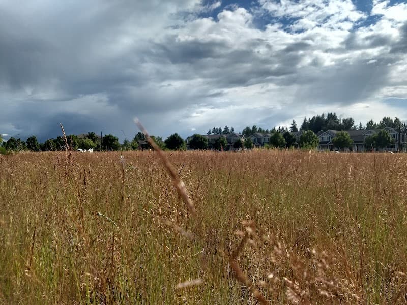 Photo by Daniel Pree (Google)