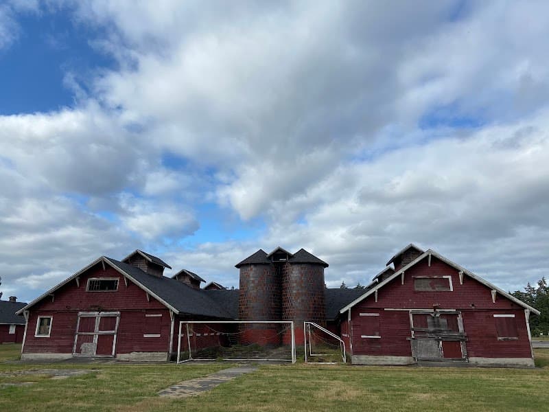 Photo by Gergely K (Google)