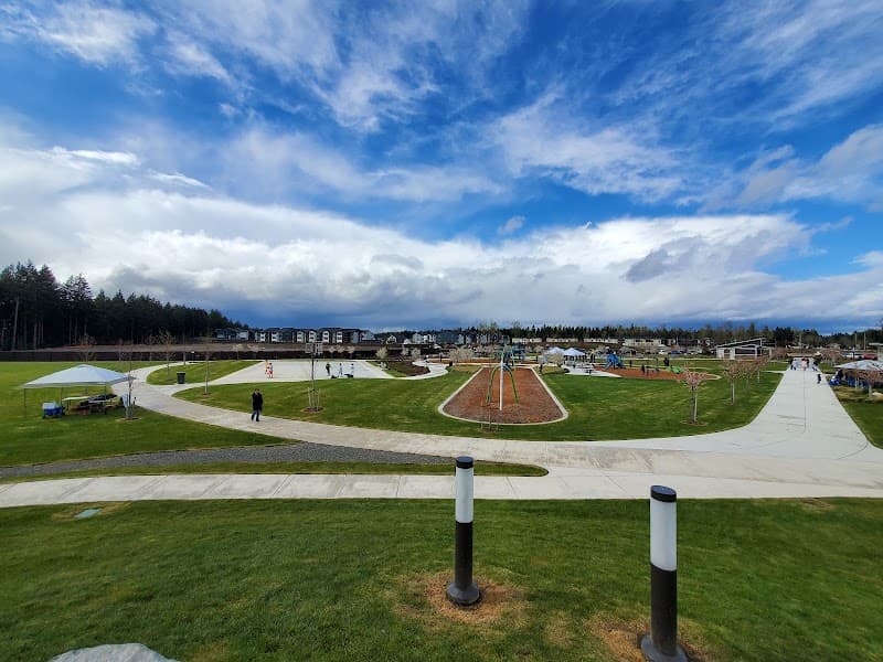 Photo by Brandon Currier (Google)