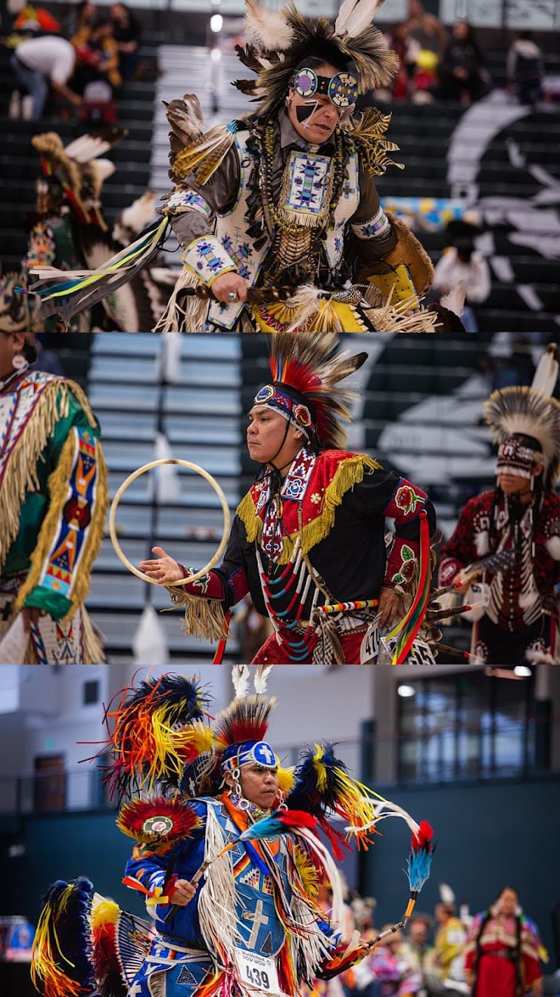 Photo by Moonlight Media (Google)