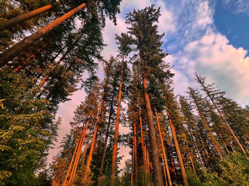 Photo by Glenn Bonnell (Google)