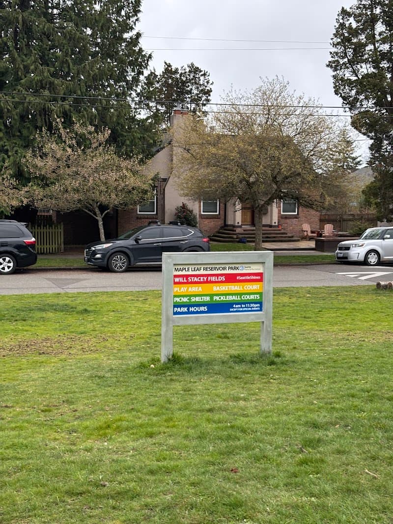 Photo by Anna Stacey (Google)