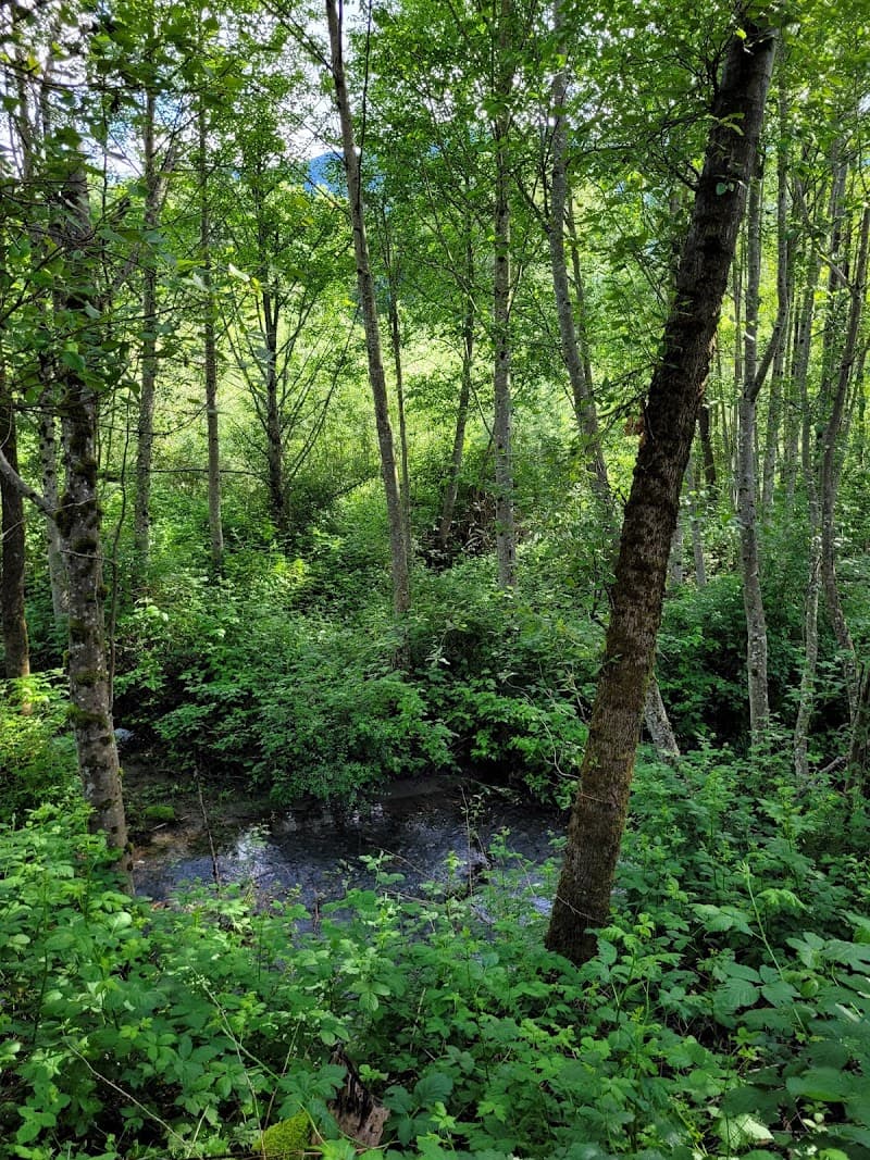 Photo by Rosa Duncan (Google)