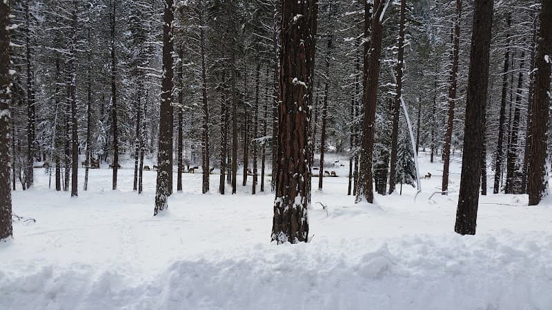 Nile Sno-Park in Naches, WA
