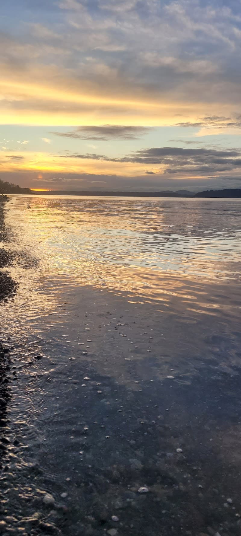 Photo by Savranakis Maria (Google)