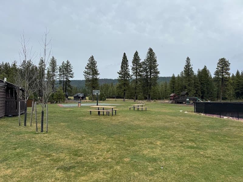 Photo by Jason Williams (Google)