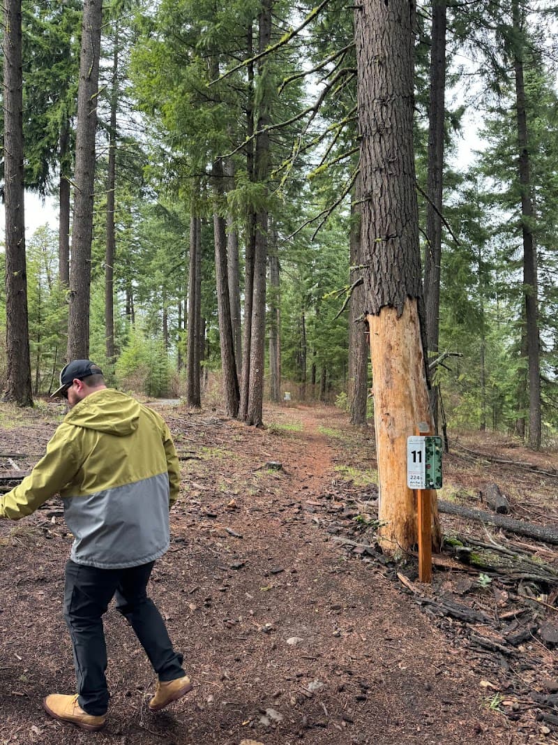 Photo by Jason Williams (Google)