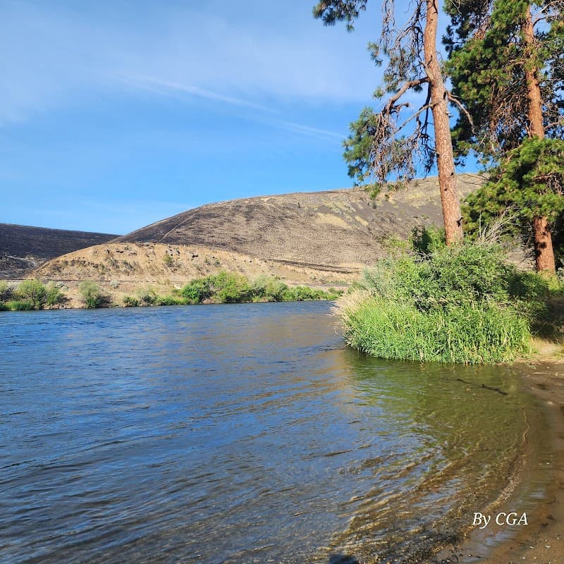 Photo by Chadi Abdallah (Google)