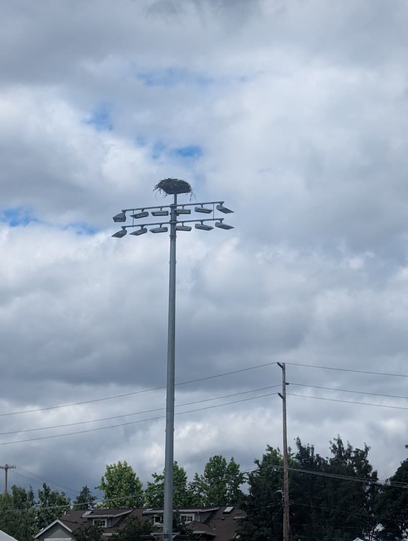 George Rogers Park Athletic Fields