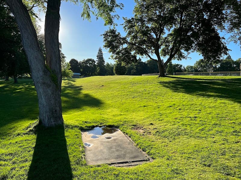 Photo by Jason Williams (Google)