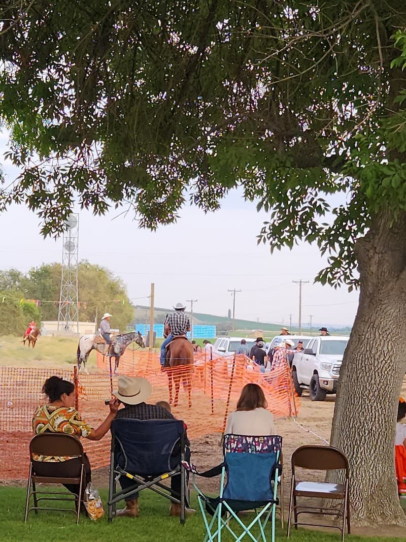 Photo by Yary PiΓ±a (Google)