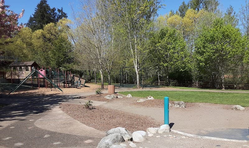 Photo by Steve Irving (Google)