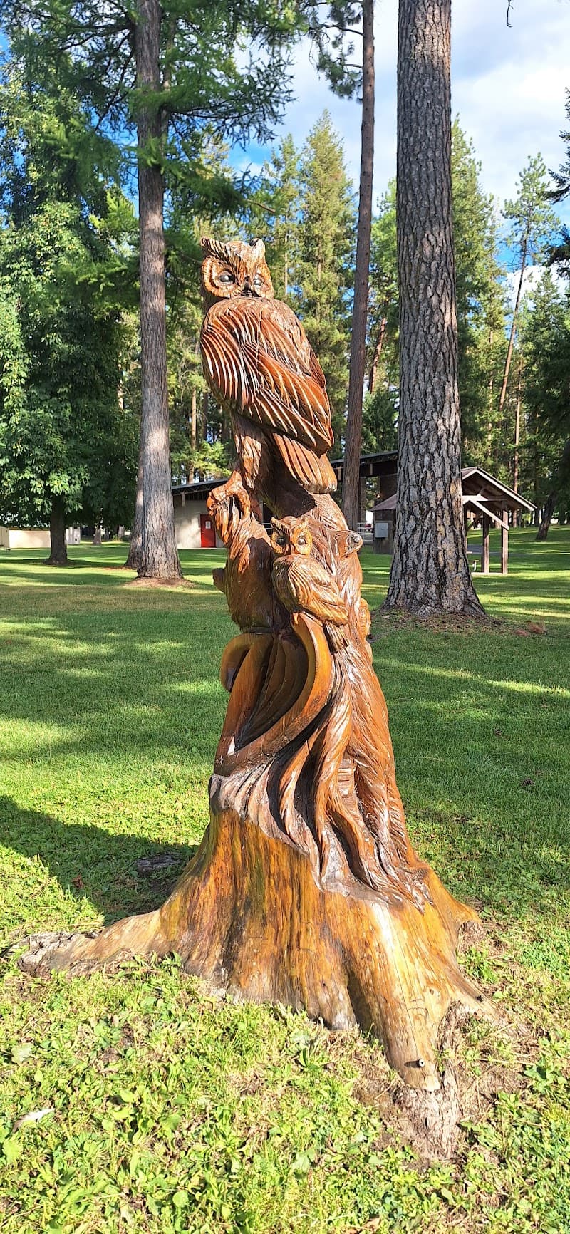 Photo by Jeri York (Google)