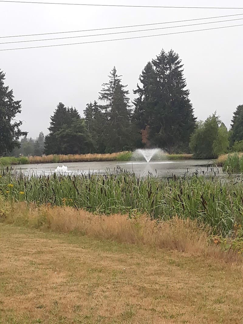 Photo by Elena Carbine (Google)