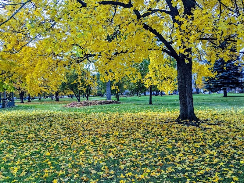 Photo by marie “Thana Rohana” king (Google)