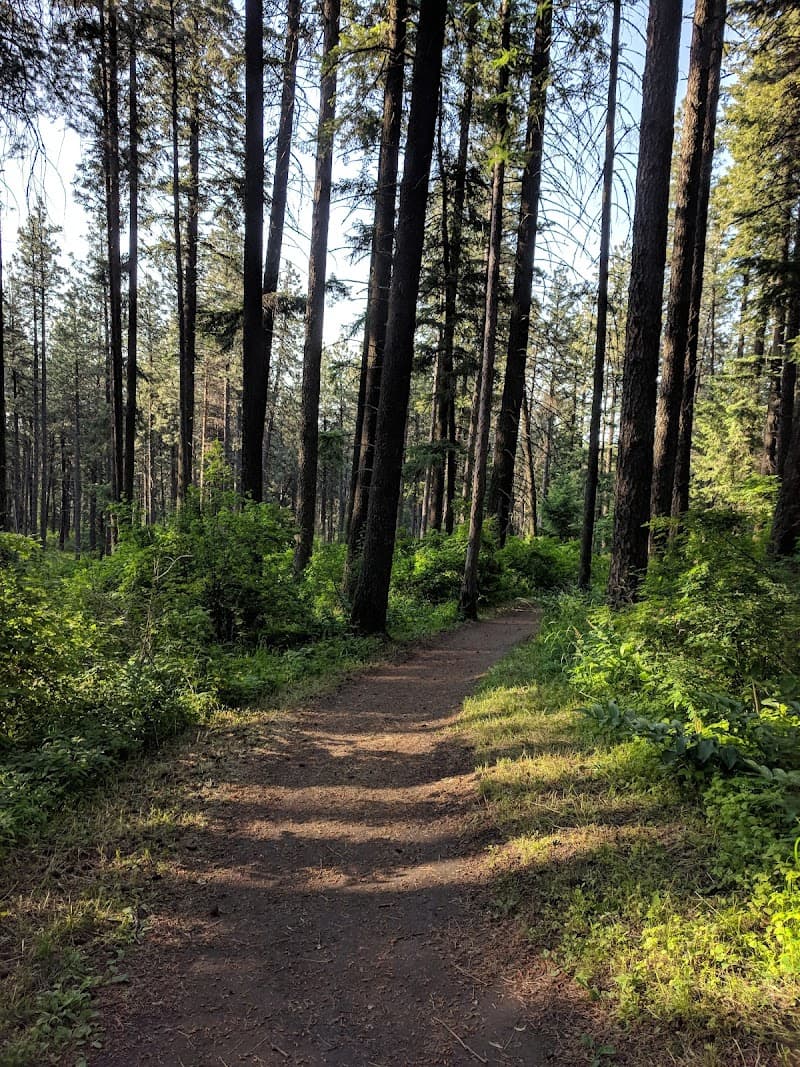 Photo by Svetlana Aleynikova (Google)