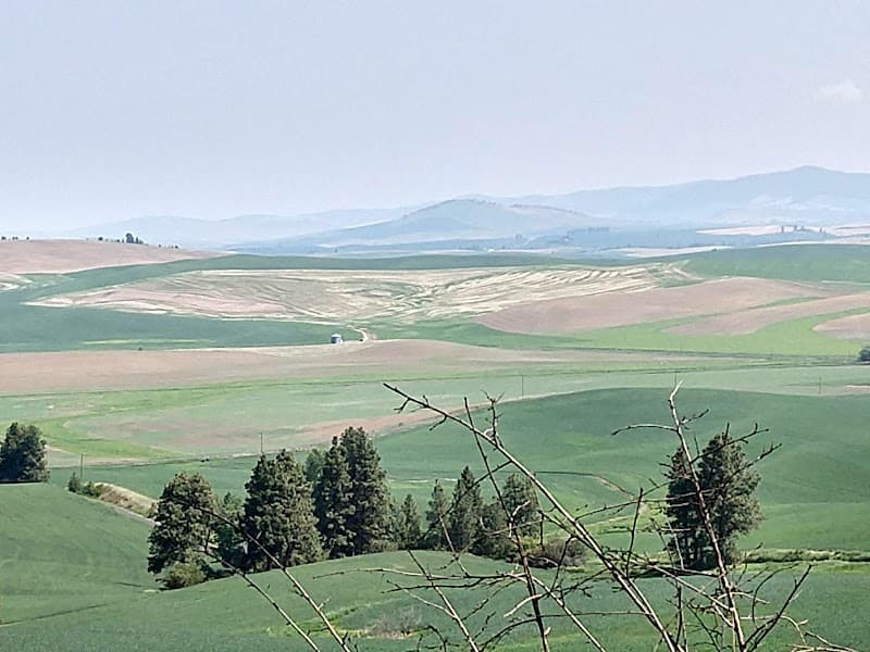 Photo by Jeanie Farrington (Google)