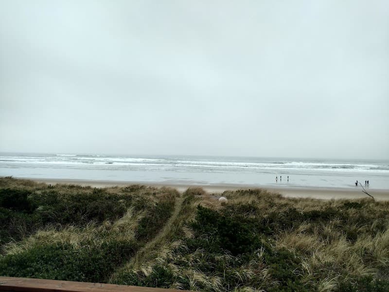 Photo by Bart Lamb (Google)