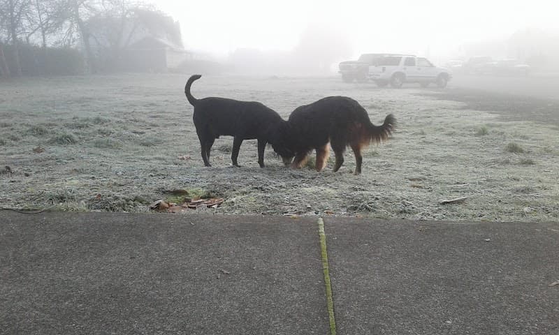 Photo by Jodi Miller (Google)