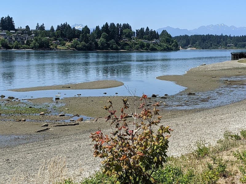 Photo by Michael (Google)