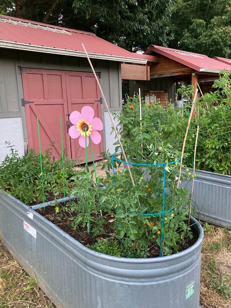 Photo by Tammy Bay (Google)