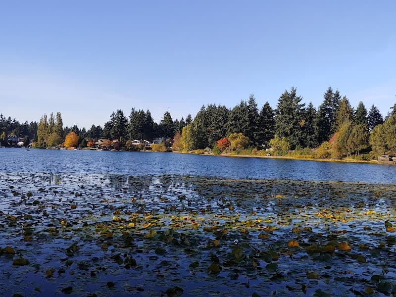 Photo by Violet Purdy (Google)