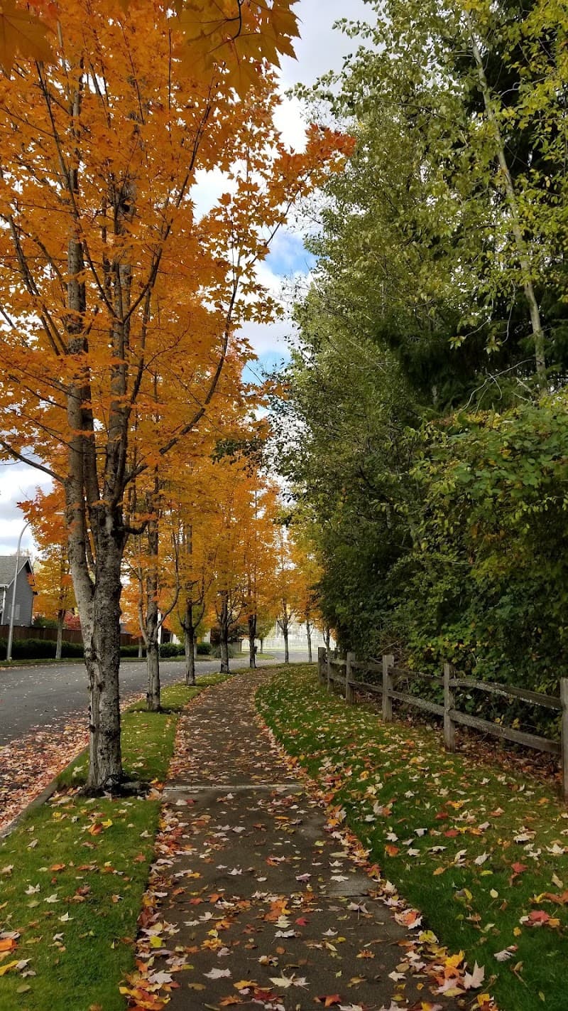 Honey Dew Athletic Fields