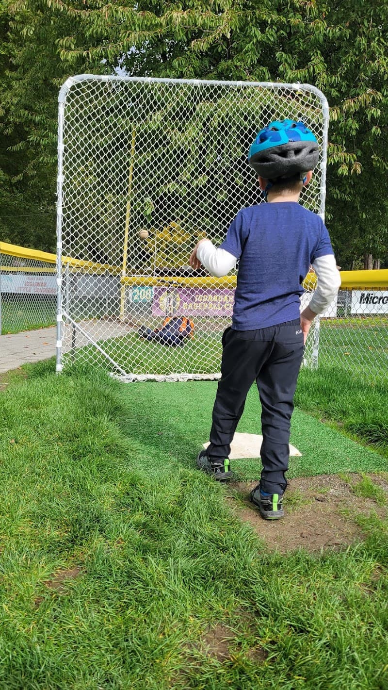 Photo by Jiri Vorel (Google)