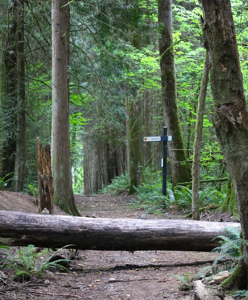 Photo by Erik Morgenstern (Google)