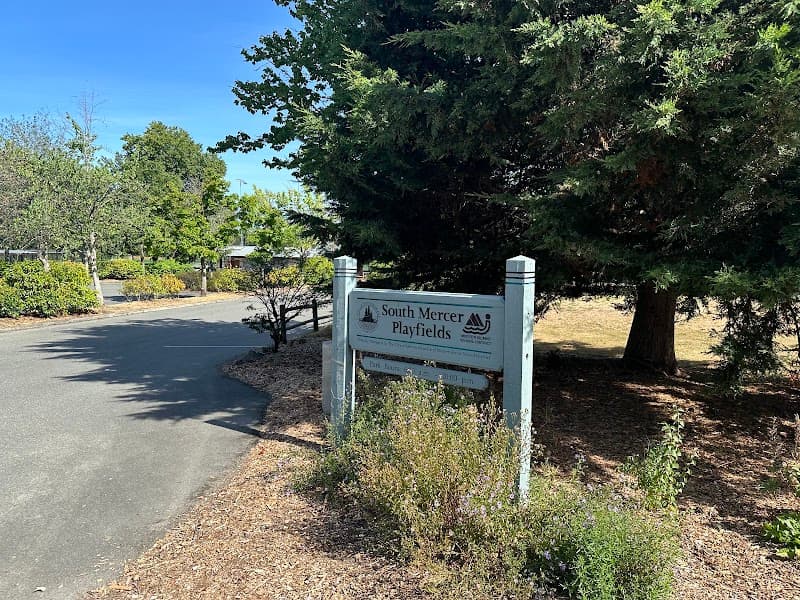 Photo by Danny Tram (Google)