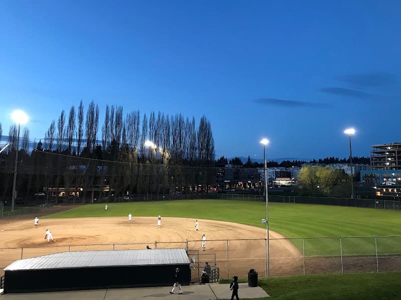 Photo by Lanclin Santhosh Johnson (Google)