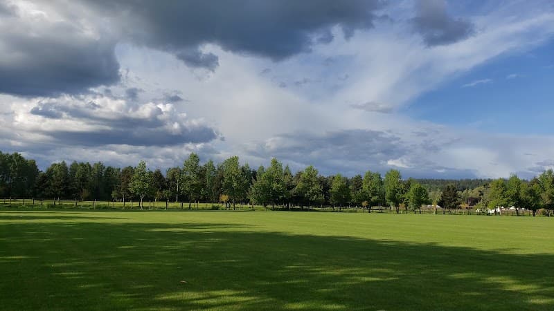 Photo by Vitaly Gerasimov (Google)