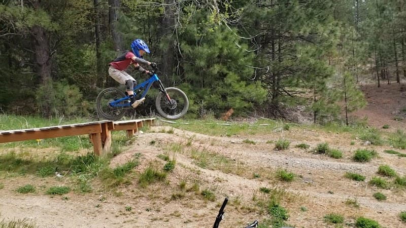 Photo by S Goodwin (Google)