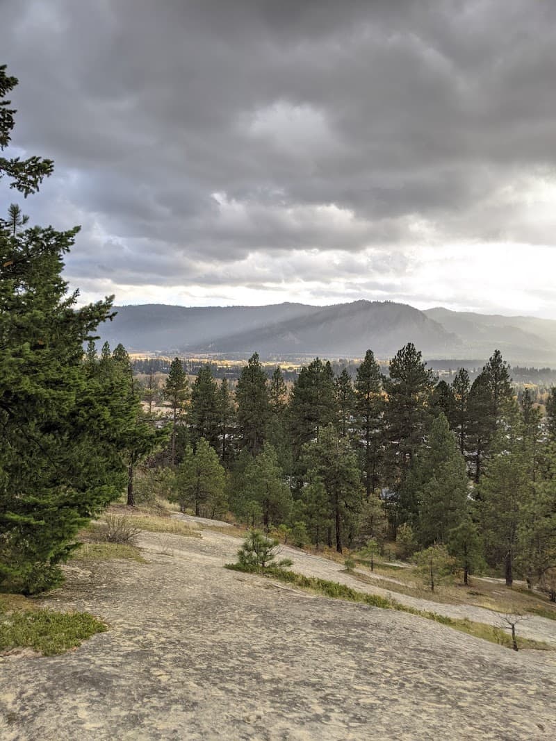 Photo by Nicole McVarish (Google)