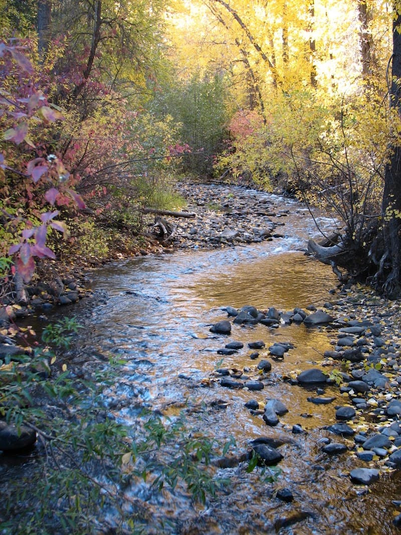 Photo by Lazy F Camp & Retreat Center United Methodist (Google)