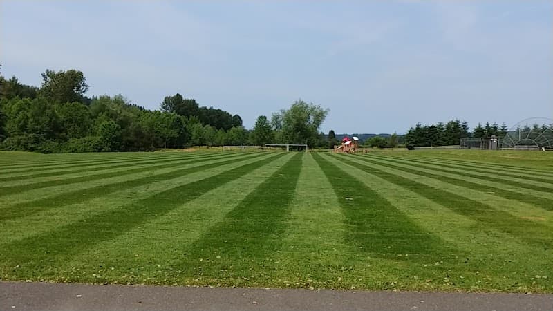 Photo by Ozcan ILIKHAN (Google)