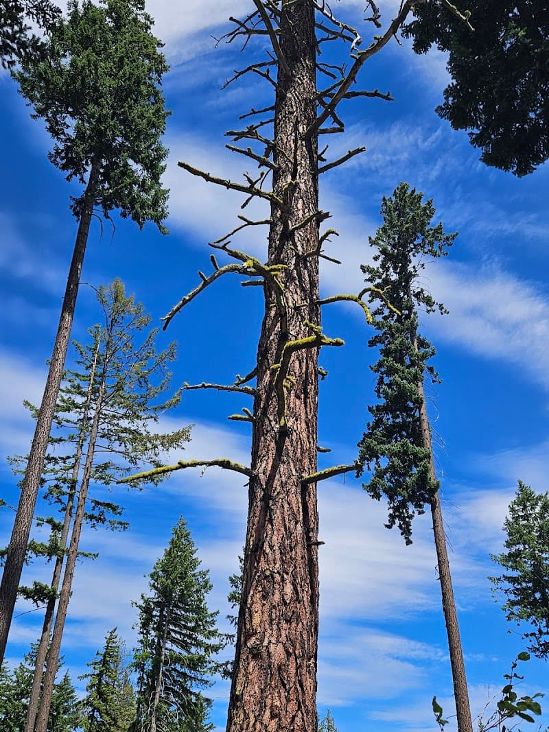 Photo by K Hahm (Google)