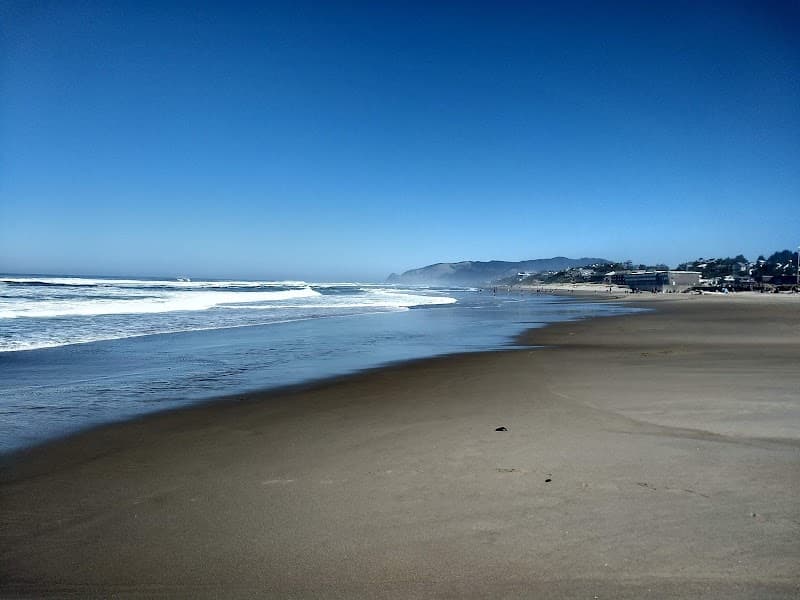 Photo by MJ Harding (Google)