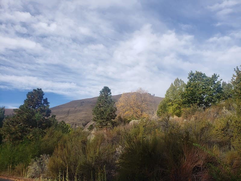 Photo by tessa mesler (Google)