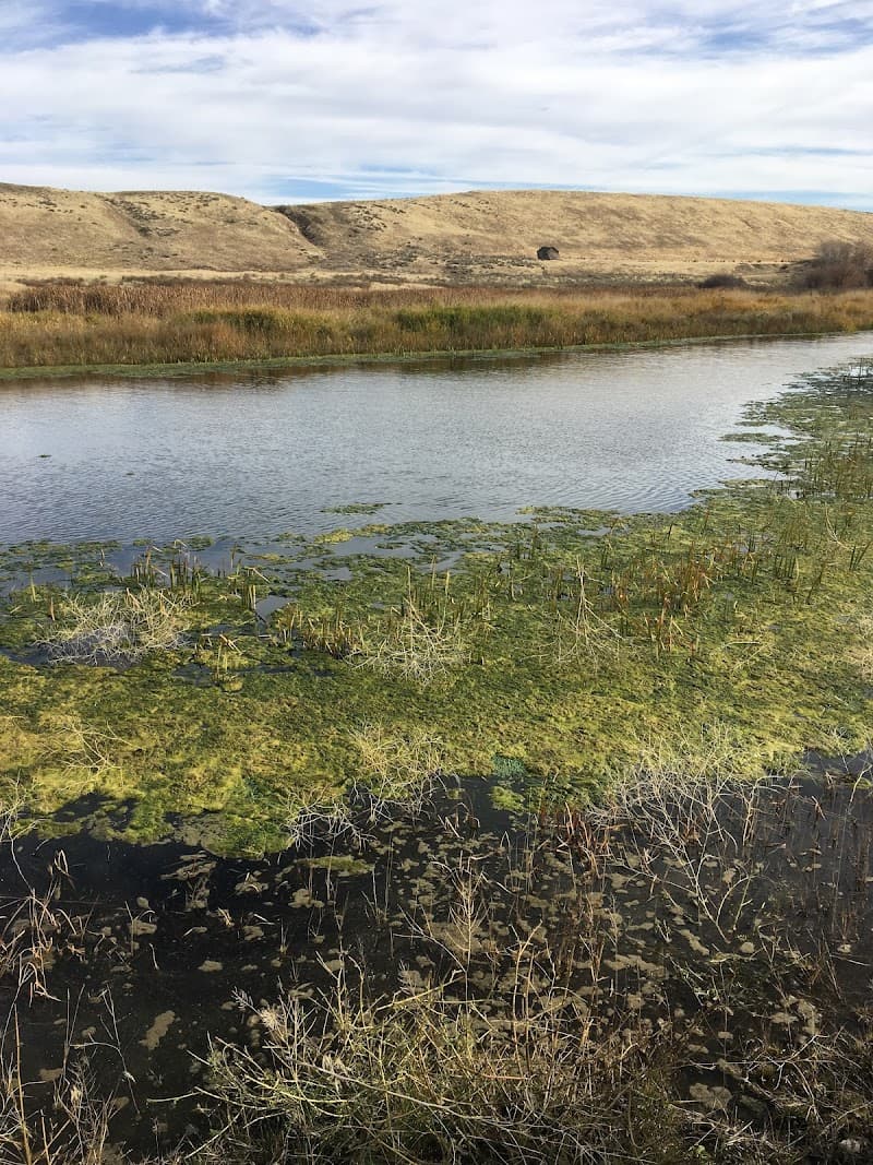 Photo by Crab Creek-Rocky Ford Recreation Area (Google)
